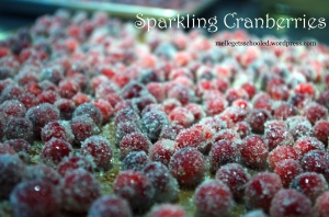 sparkling cranberries